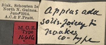Media type: image;   Entomology 16616 Aspect: labels